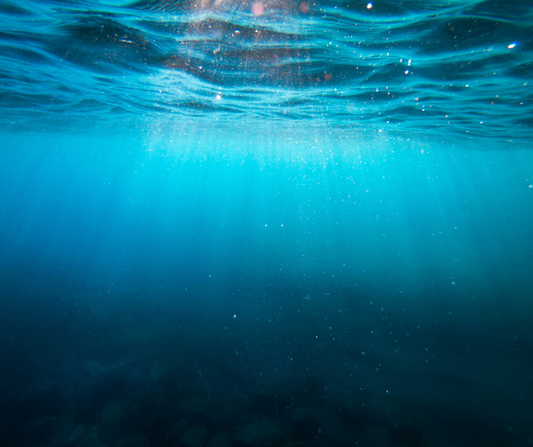 Why Is The Ocean Blue?