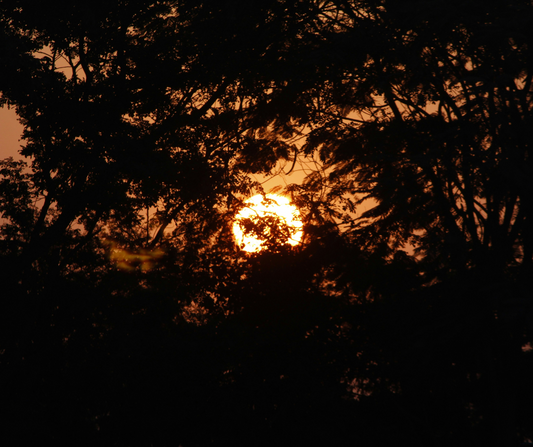 The science of summer and winter solstice 